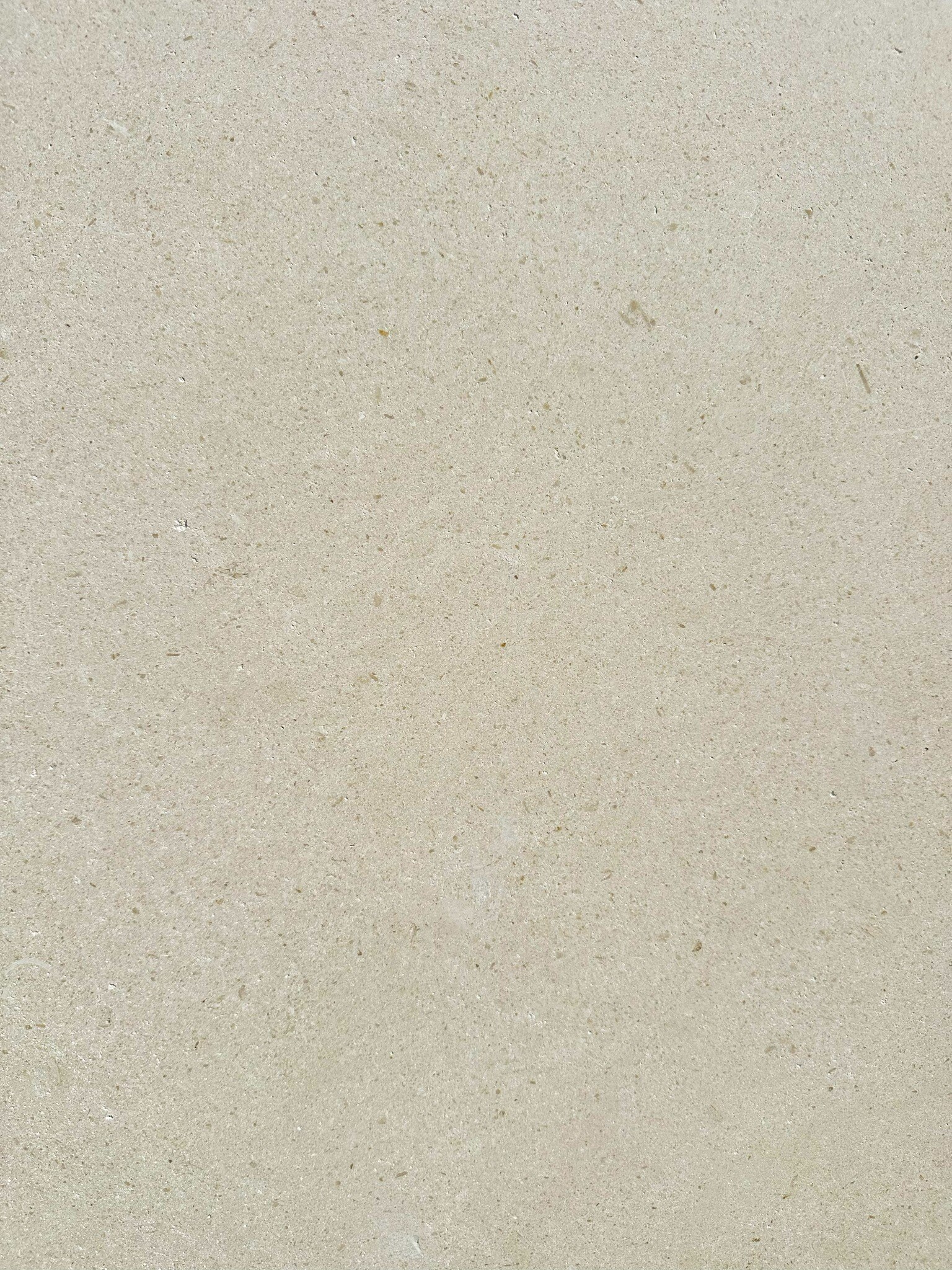 Limra Limestone close-up texture