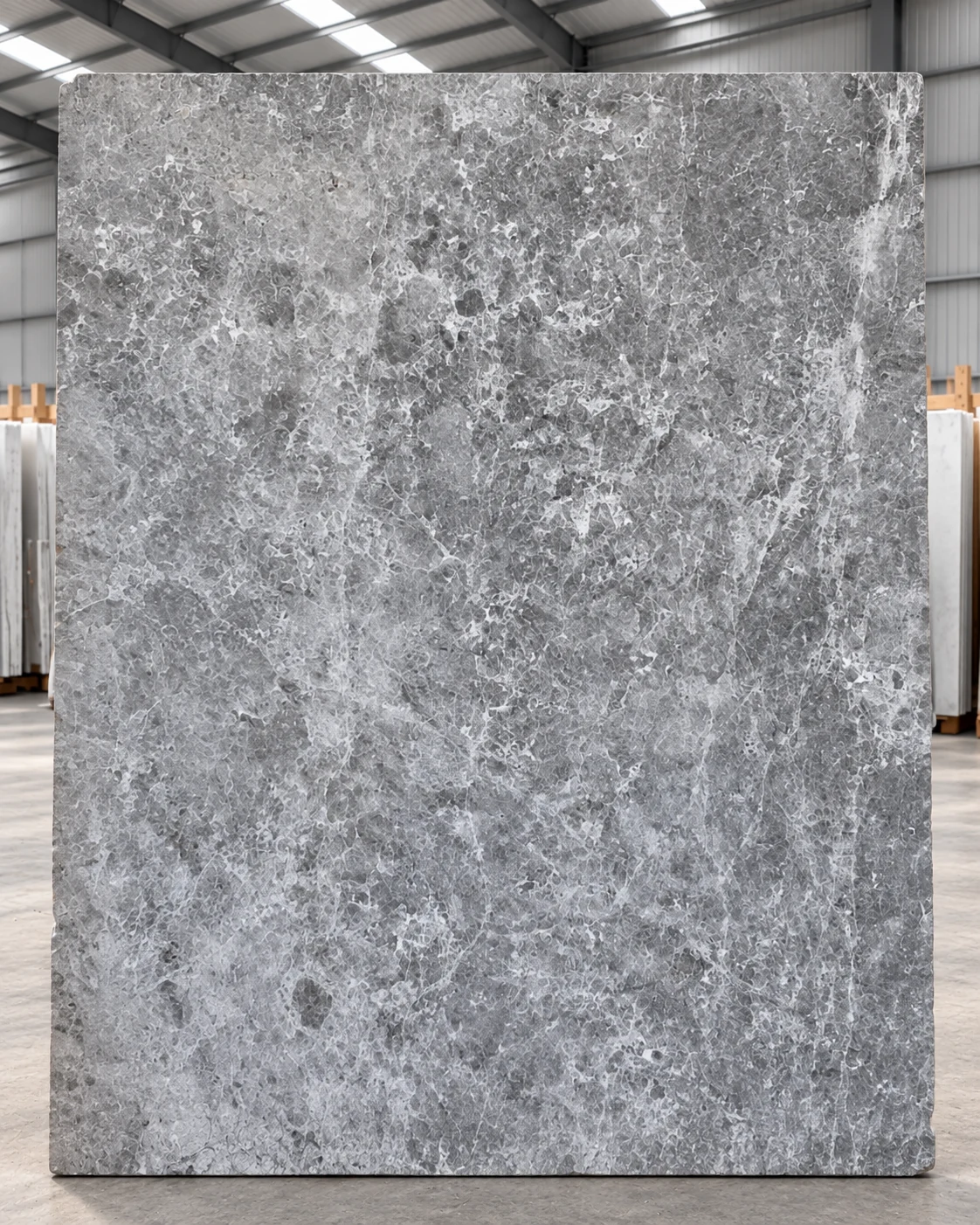 Tundra Grey Marble — Ürün fotoğrafı