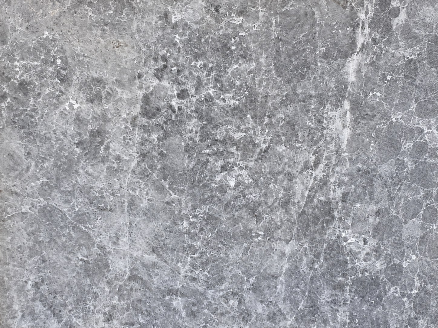 Tundra Grey marble — close-up stone texture